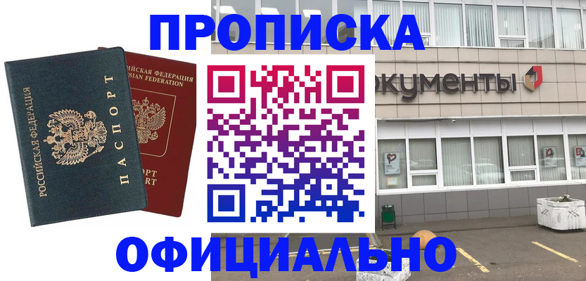 прописка поиск в Щёкино